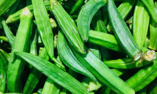 吃生冷食物就拉肚子吃啥药-【甲减为什么不能吃生冷食物】吃生冷食物肚子疼吃什么药 - 吃生冷食物网